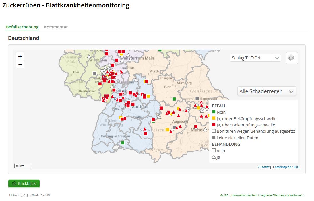 Blattkrankheiten-Monitoring 2024 Foto Bundschuh ISIP