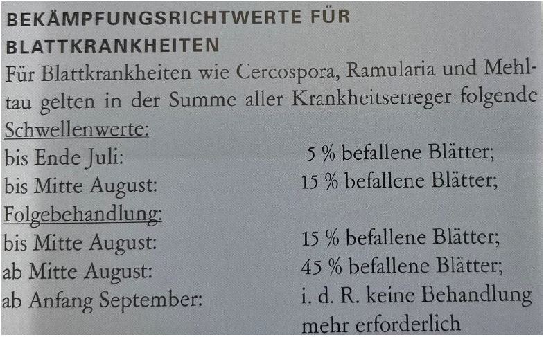 Bekämpfungsrichtwerte in Zuckerrüben Foto AVetter LWA Heilbronn