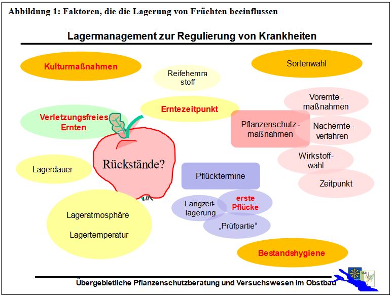 Faktoren die die Lagerung von Früchten beeinflussen Foto MHaltmaier KOB Bavendorf