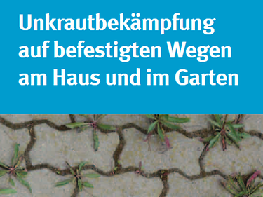 Unkrautbekampfung Auf Befestigten Wegen Am Haus Und Im Garten Isip