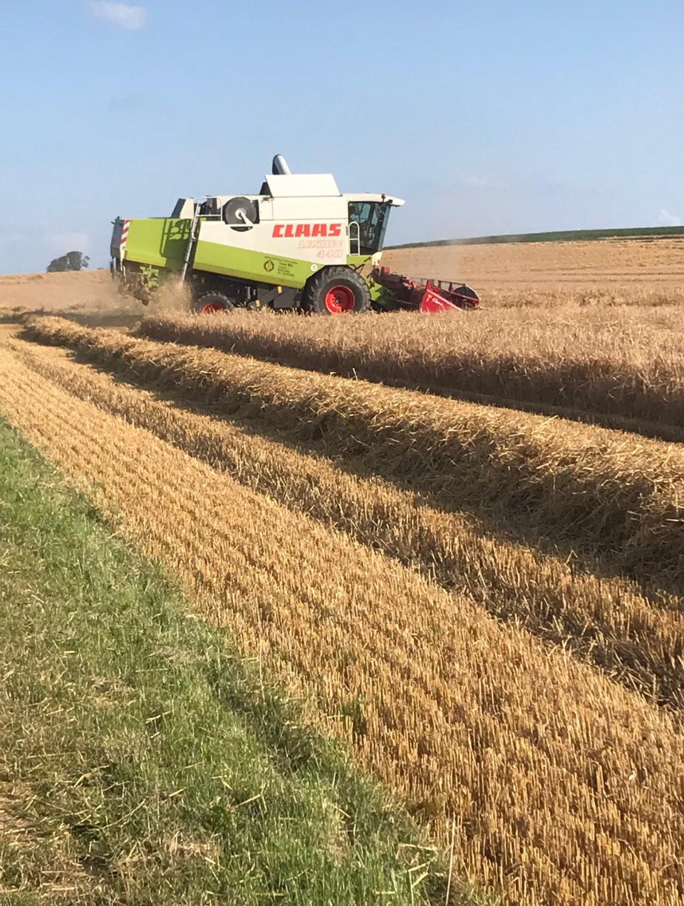 Foto WHeine Landwirt Dinnenried