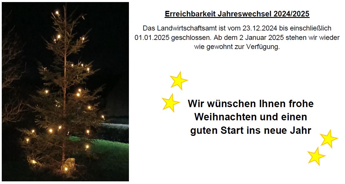 Weihnachtsgruß-SHA-Infoservice